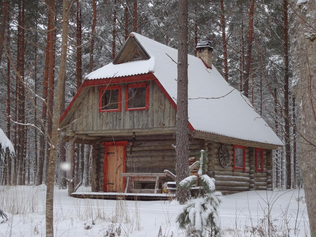 Jarve Holiday home *